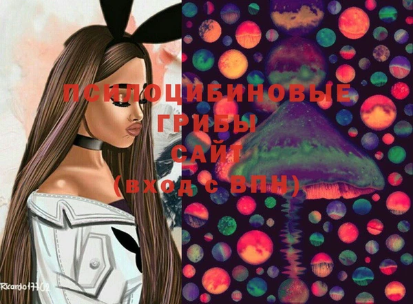 стаф Вяземский